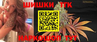 СК Надым