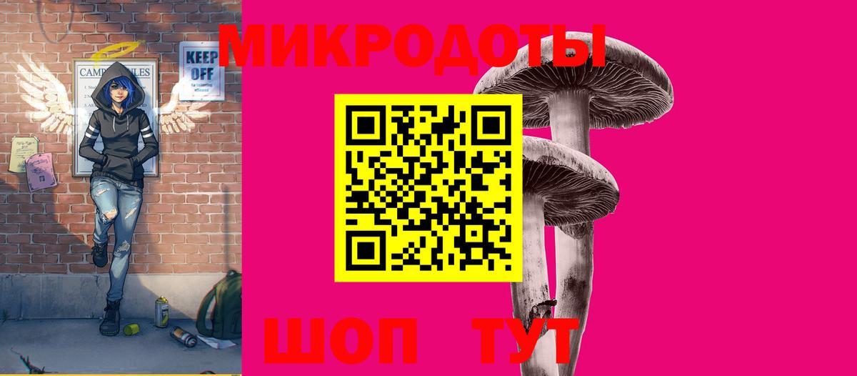 Псилоцибиновые грибы Psilocybe  Псилоцибиновые грибы GOLDEN TEACHER  Гусиноозёрск  Вход с VPN 